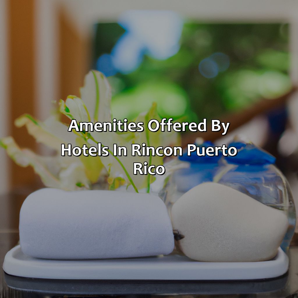 Amenities offered by hotels in Rincon, Puerto Rico-hotel in rincon puerto rico, 