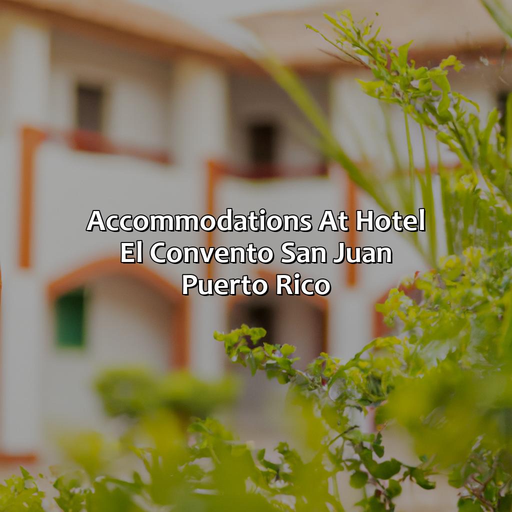Accommodations at Hotel El Convento San Juan Puerto Rico-hotel l convento san juan puerto rico, 