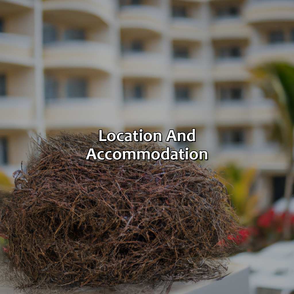 Location and Accommodation-hotel nest puerto rico, 