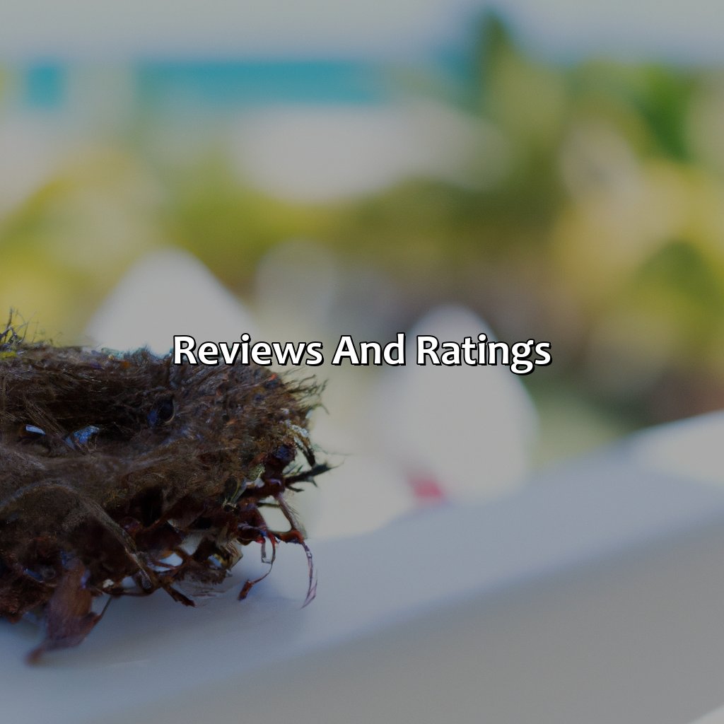 Reviews and Ratings-hotel nest puerto rico, 