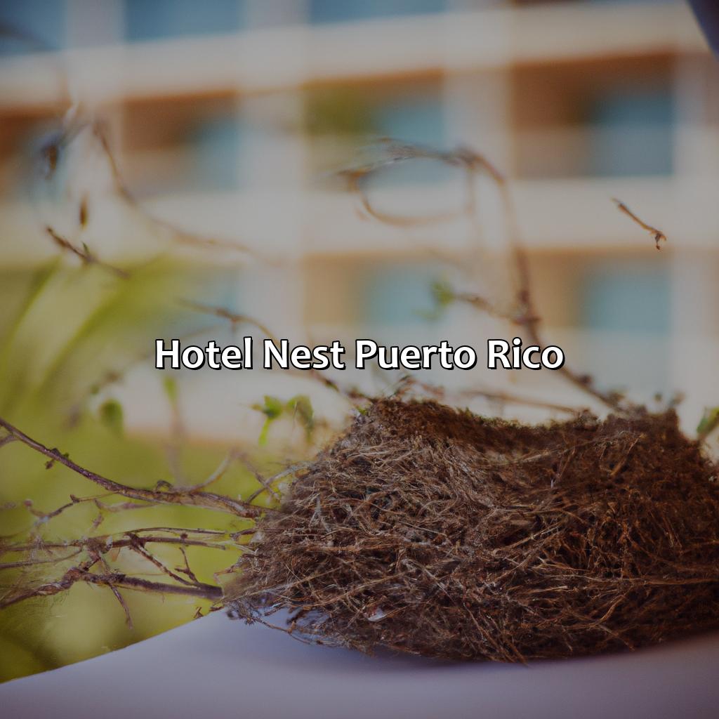 Hotel Nest Puerto Rico