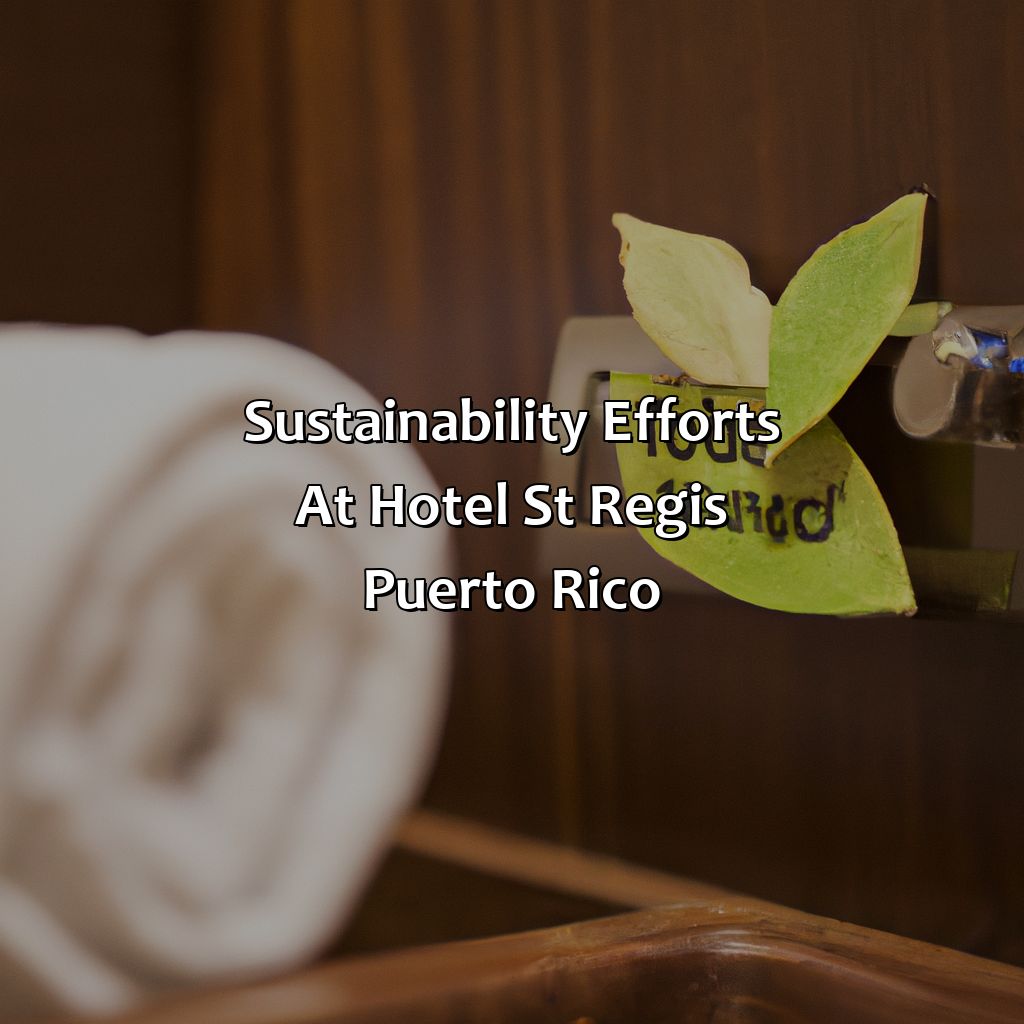 Sustainability Efforts at Hotel St Regis Puerto Rico-hotel st regis puerto rico, 