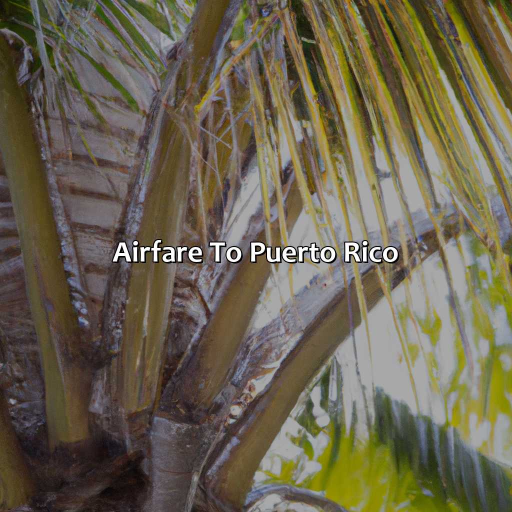 Airfare to Puerto Rico-hotels and airfare to puerto rico, 