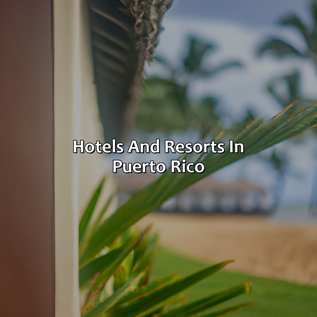 Hotels And Resorts In Puerto Rico