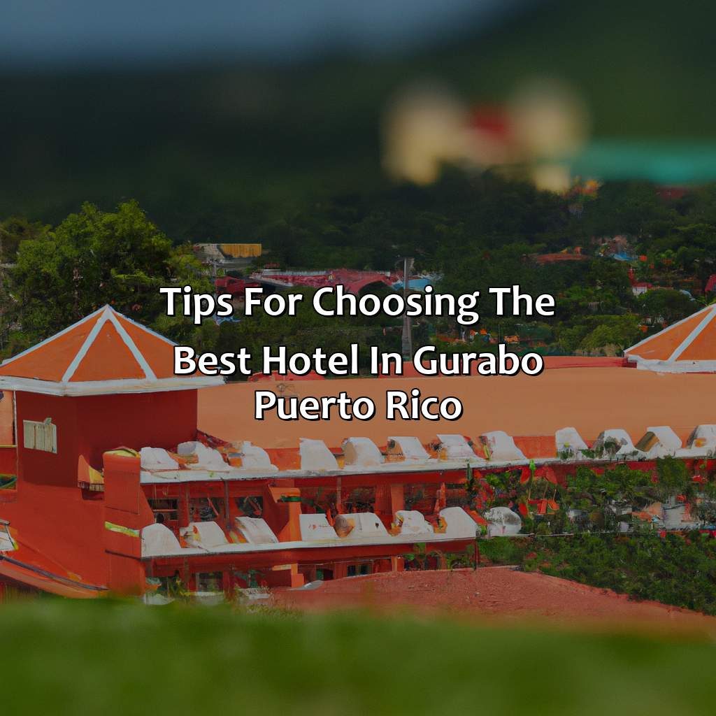 Tips for Choosing the Best Hotel in Gurabo, Puerto Rico-hotels en gurabo puerto rico, 