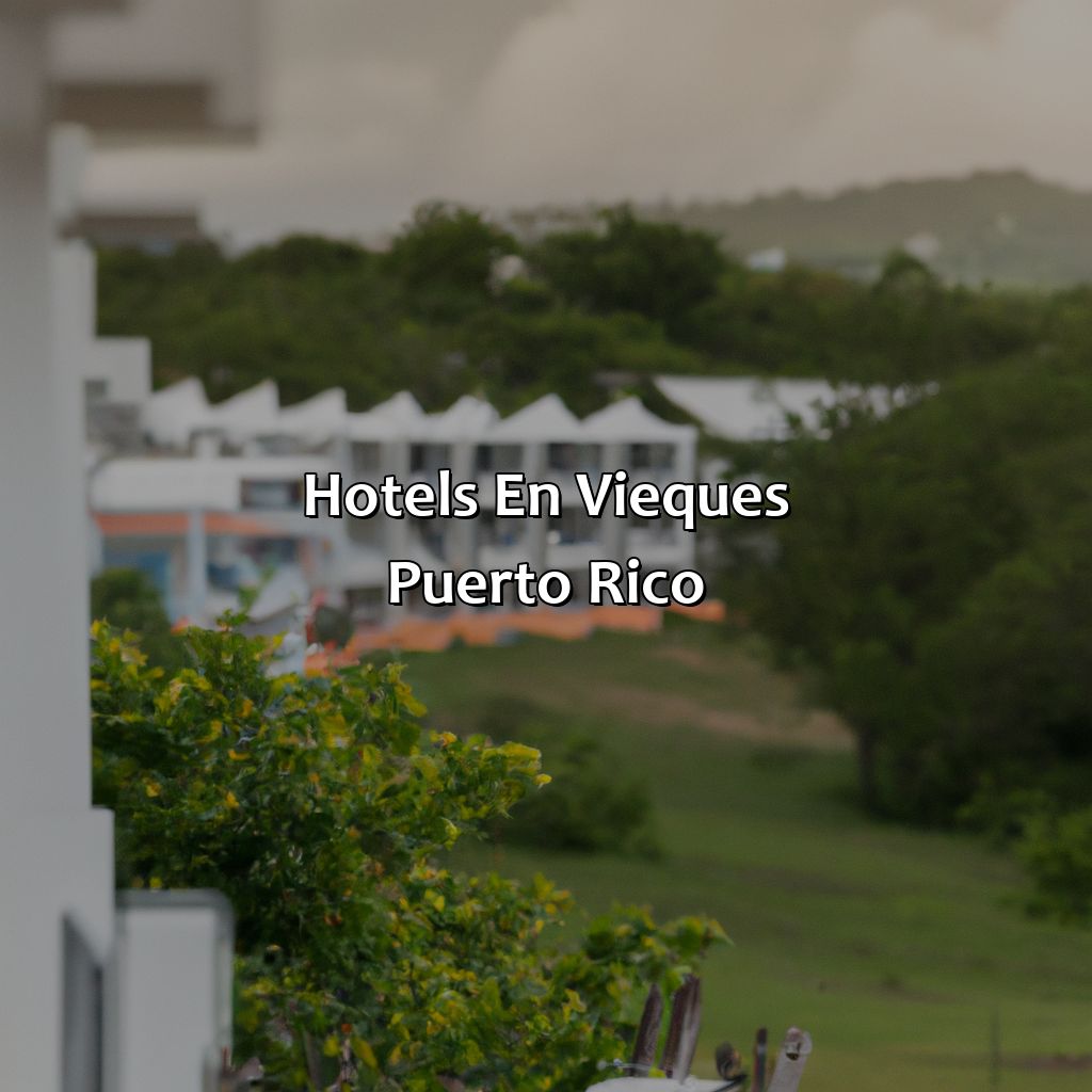 Hotels En Vieques Puerto Rico