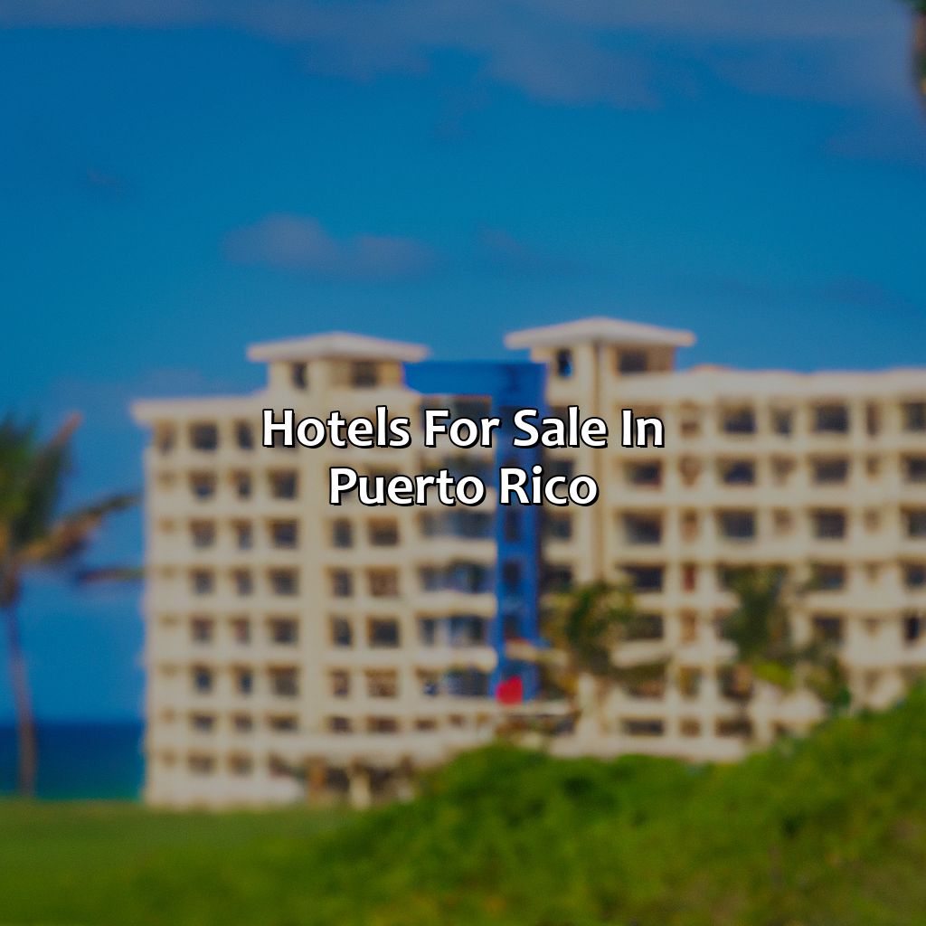 Hotels For Sale In Puerto Rico