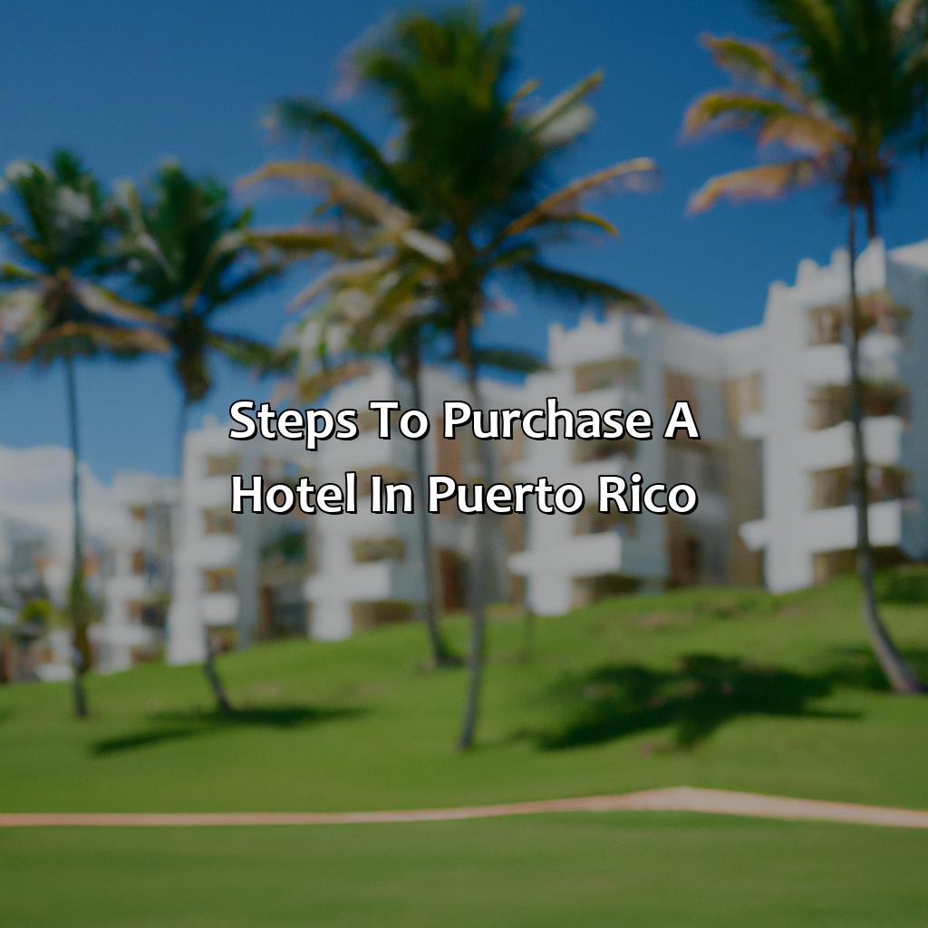 Steps to purchase a hotel in Puerto Rico-hotels for sale in puerto rico, 