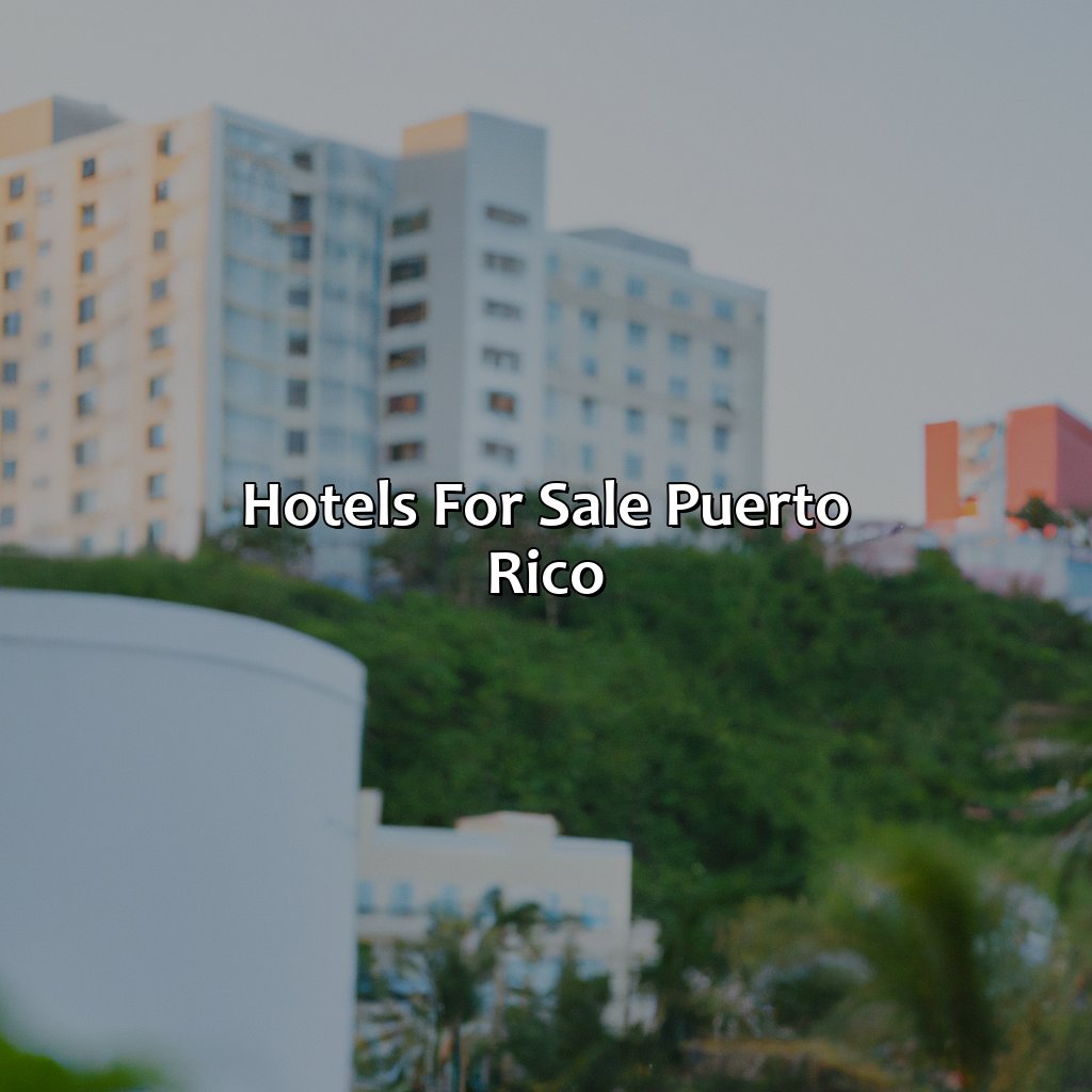 Hotels For Sale Puerto Rico