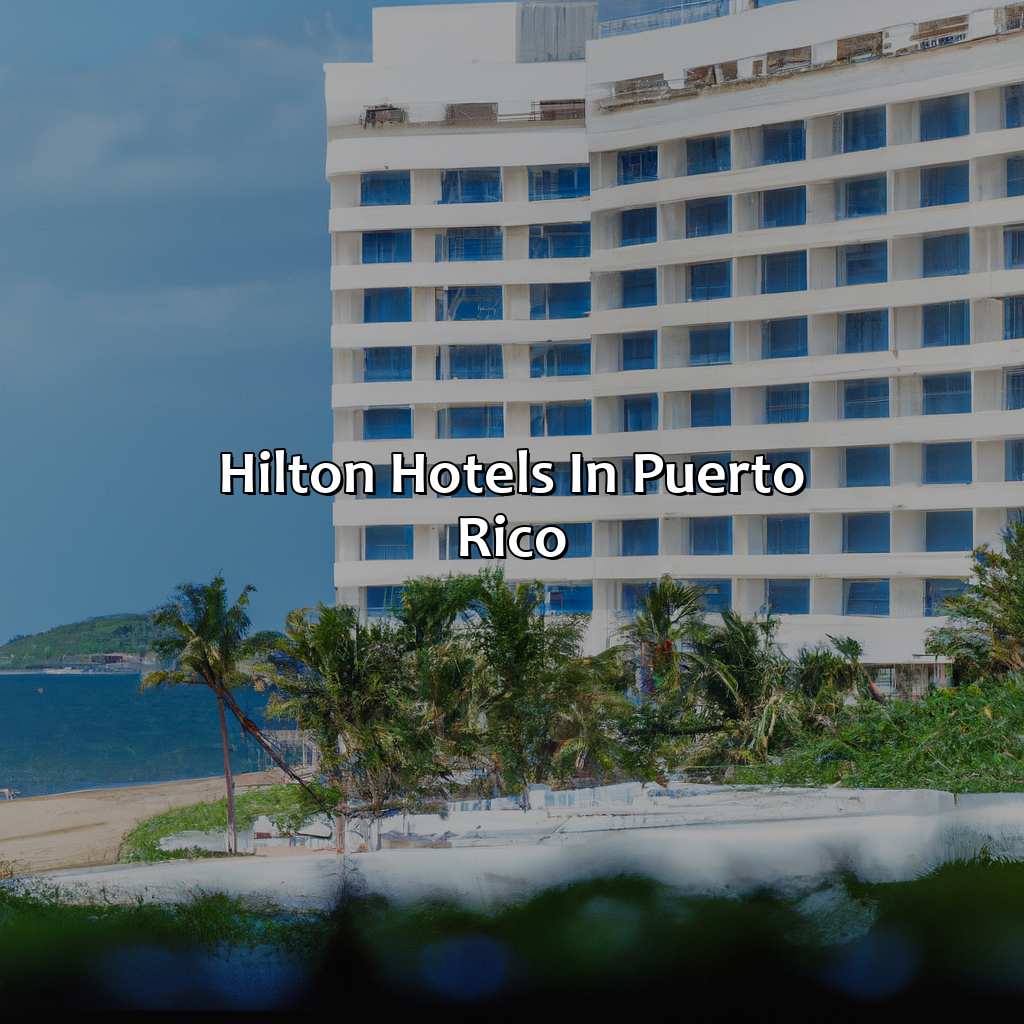 Hilton Hotels in Puerto Rico-hotels hilton en puerto rico, 
