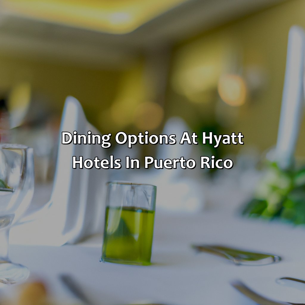 Dining Options at Hyatt Hotels in Puerto Rico-hotels hyatt puerto rico, 