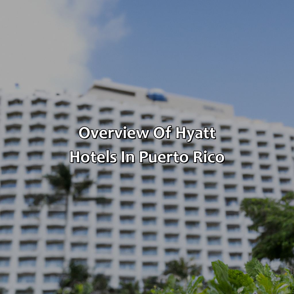 Overview of Hyatt Hotels in Puerto Rico-hotels hyatt puerto rico, 
