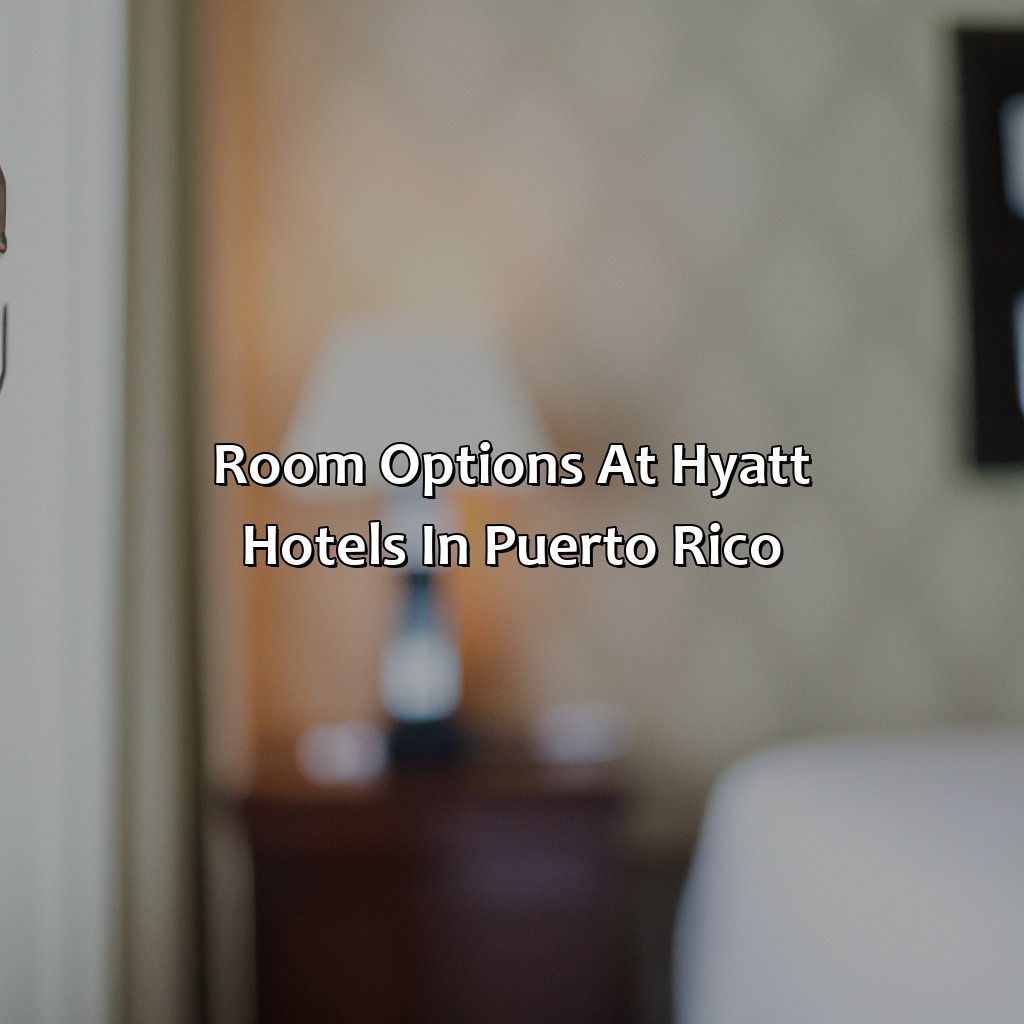 Room Options at Hyatt Hotels in Puerto Rico-hotels hyatt puerto rico, 