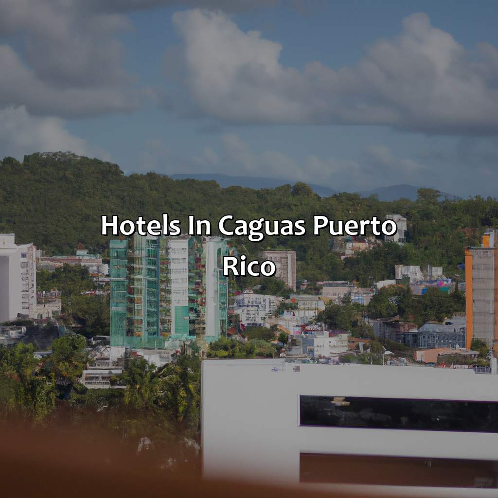 Hotels In Caguas Puerto Rico