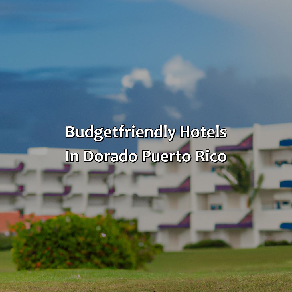 Budget-Friendly Hotels in Dorado, Puerto Rico-hotels in dorado puerto rico, 