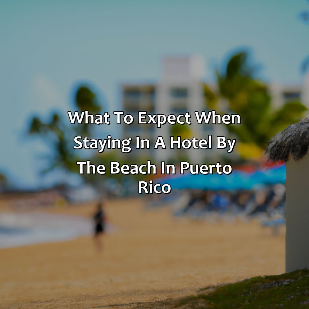 What to expect when staying in a hotel by the beach in Puerto Rico-hotels in puerto rico by the beach, 