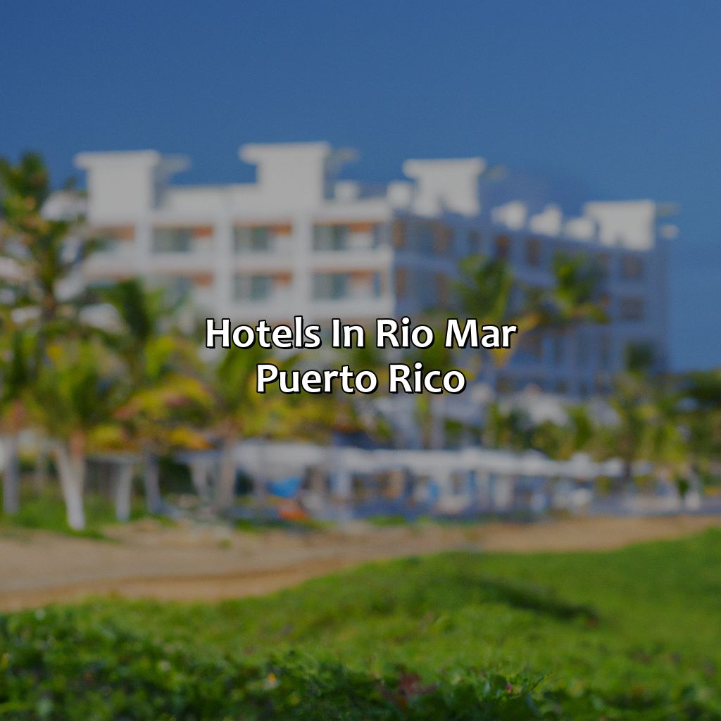 Hotels In Rio Mar Puerto Rico