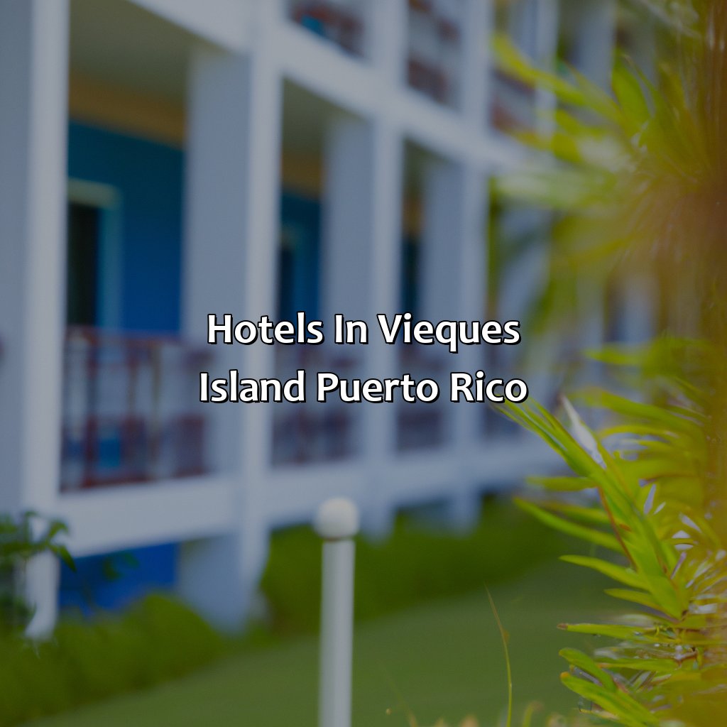 Hotels In Vieques Island Puerto Rico