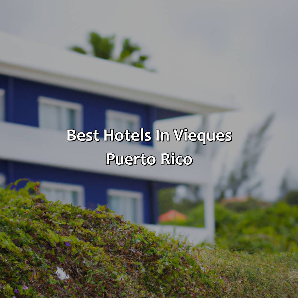 Best hotels in Vieques, Puerto Rico-hotels in vieques puerto rico, 