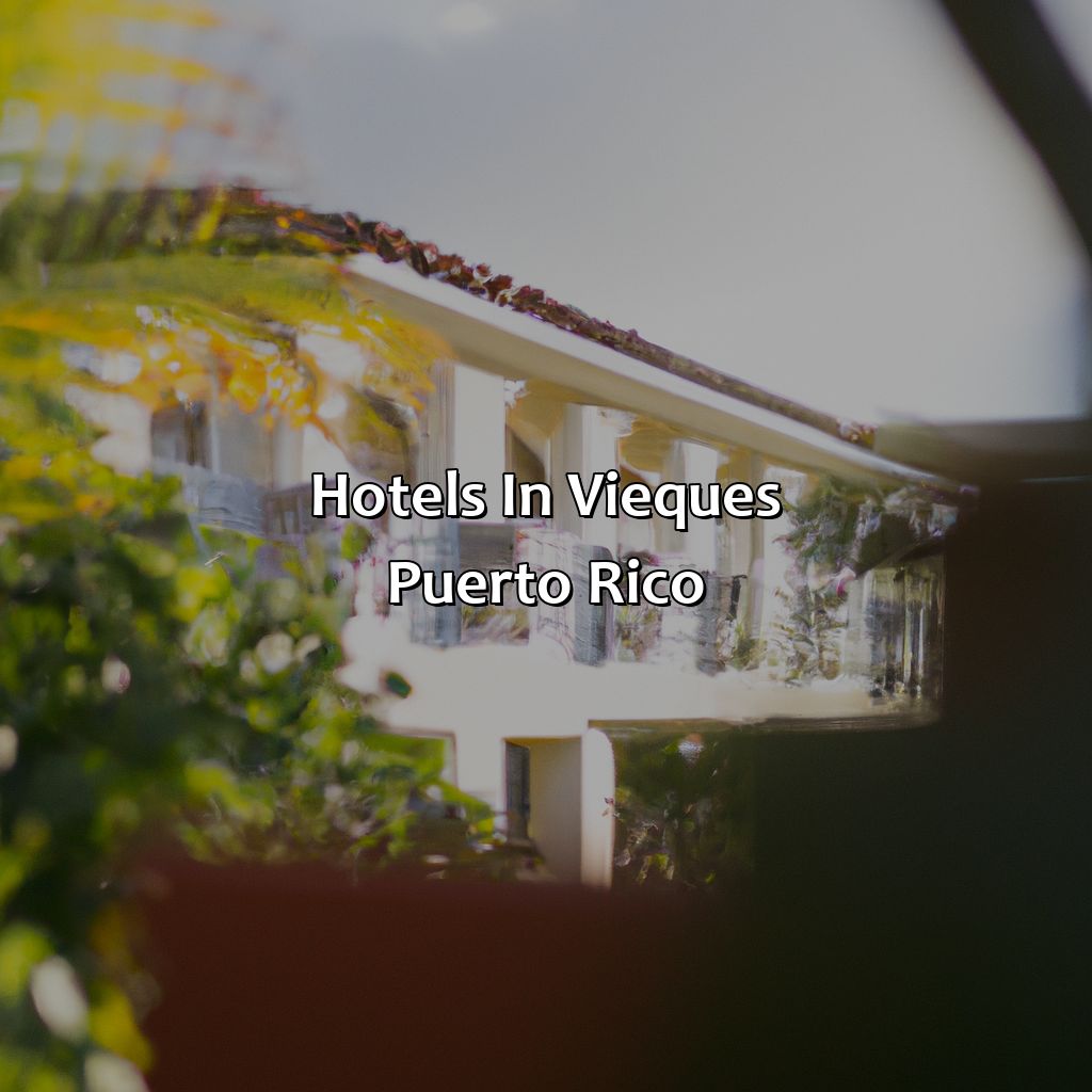 Hotels In Vieques Puerto Rico