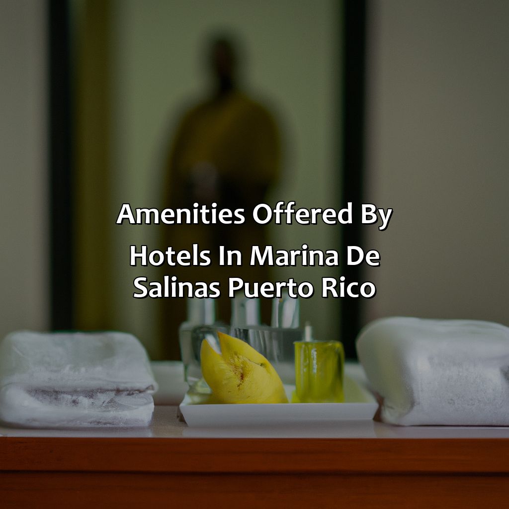 Amenities Offered by Hotels in Marina de Salinas Puerto Rico-hotels marina de salinas puerto rico, 