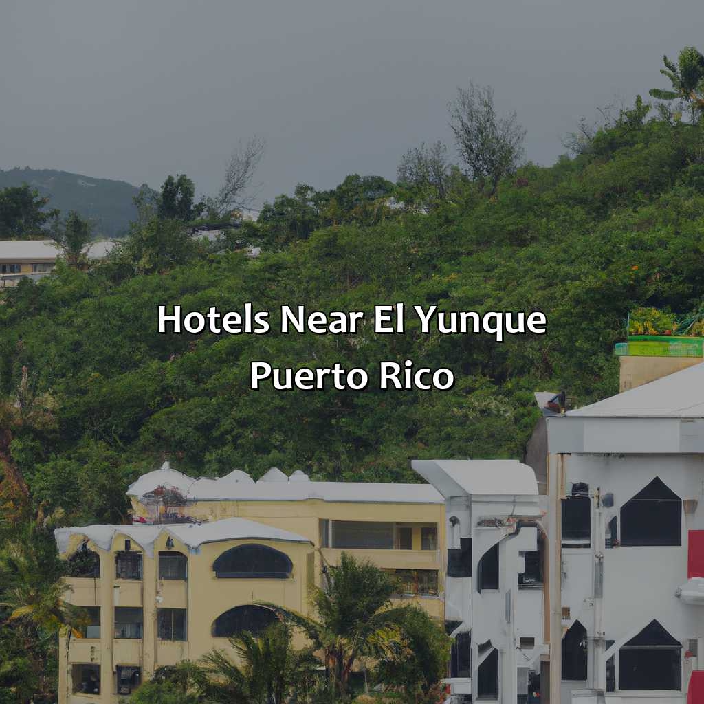 Hotels Near El Yunque Puerto Rico