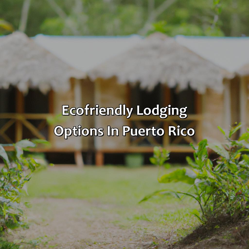 Eco-Friendly Lodging Options in Puerto Rico-hotels resorts puerto rico, 