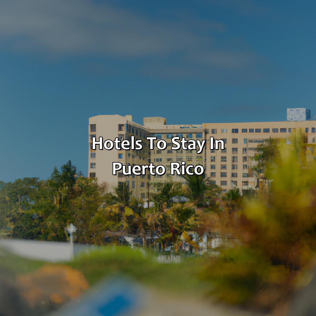 Hotels To Stay In Puerto Rico