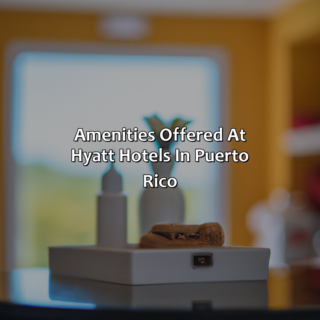 Amenities offered at Hyatt hotels in Puerto Rico-hyatt hotels in puerto rico, 