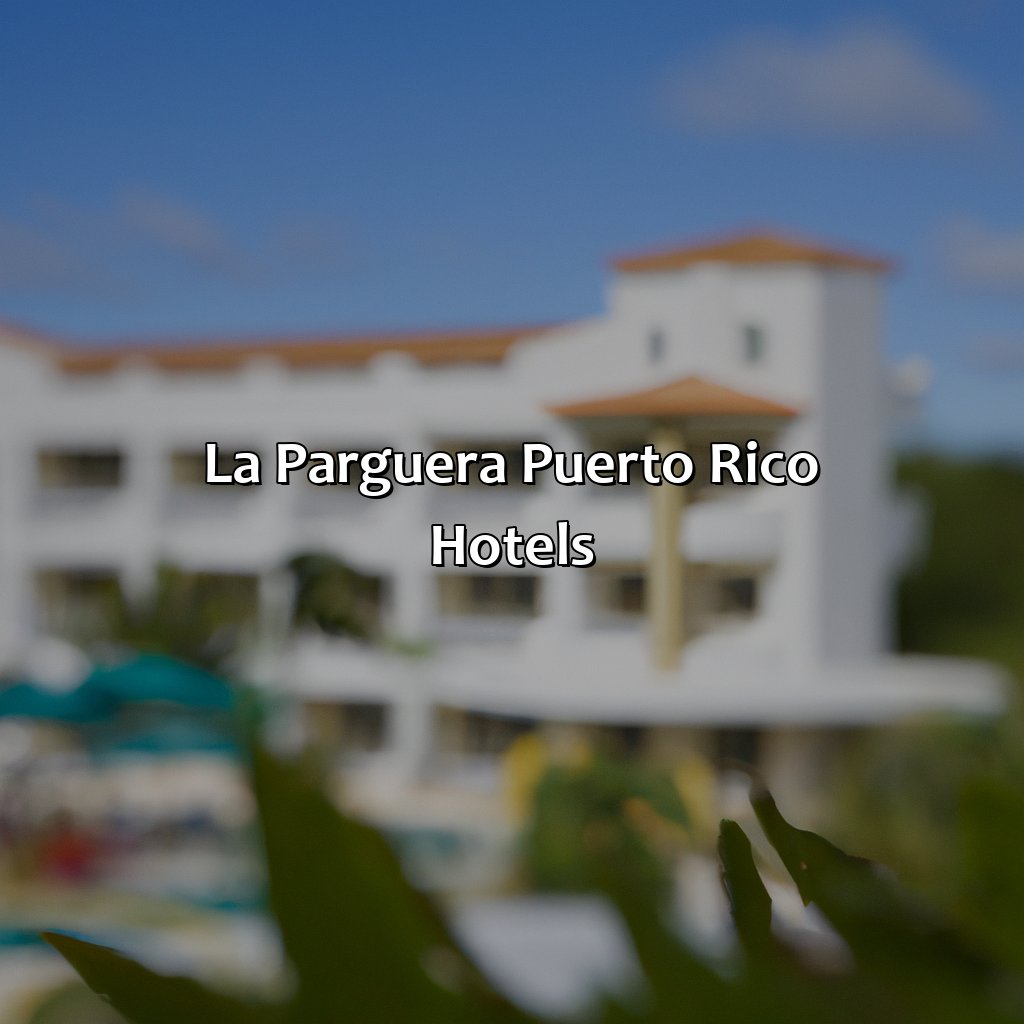 La Parguera Puerto Rico Hotels-la parguera puerto rico hotels, 