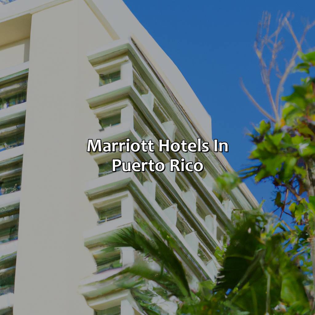 Marriott Hotels in Puerto Rico-marriott hotels puerto rico, 