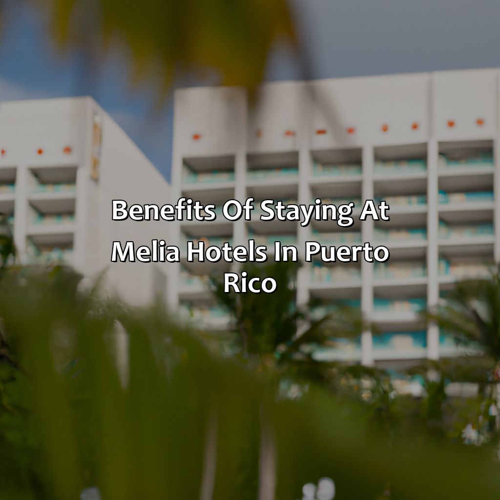 Benefits of Staying at Melia Hotels in Puerto Rico-melia hotels in puerto rico, 