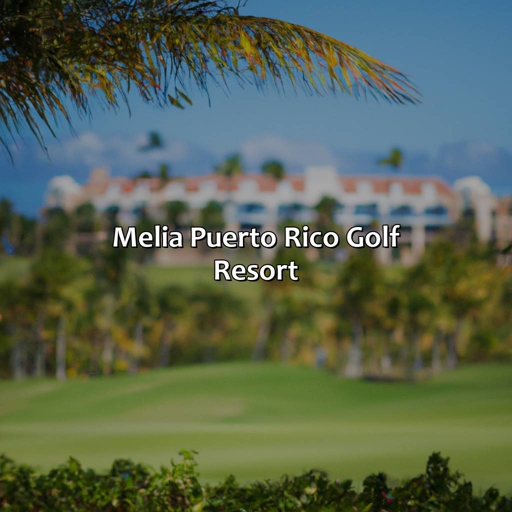 Melia Puerto Rico Golf Resort-melia hotels in puerto rico, 