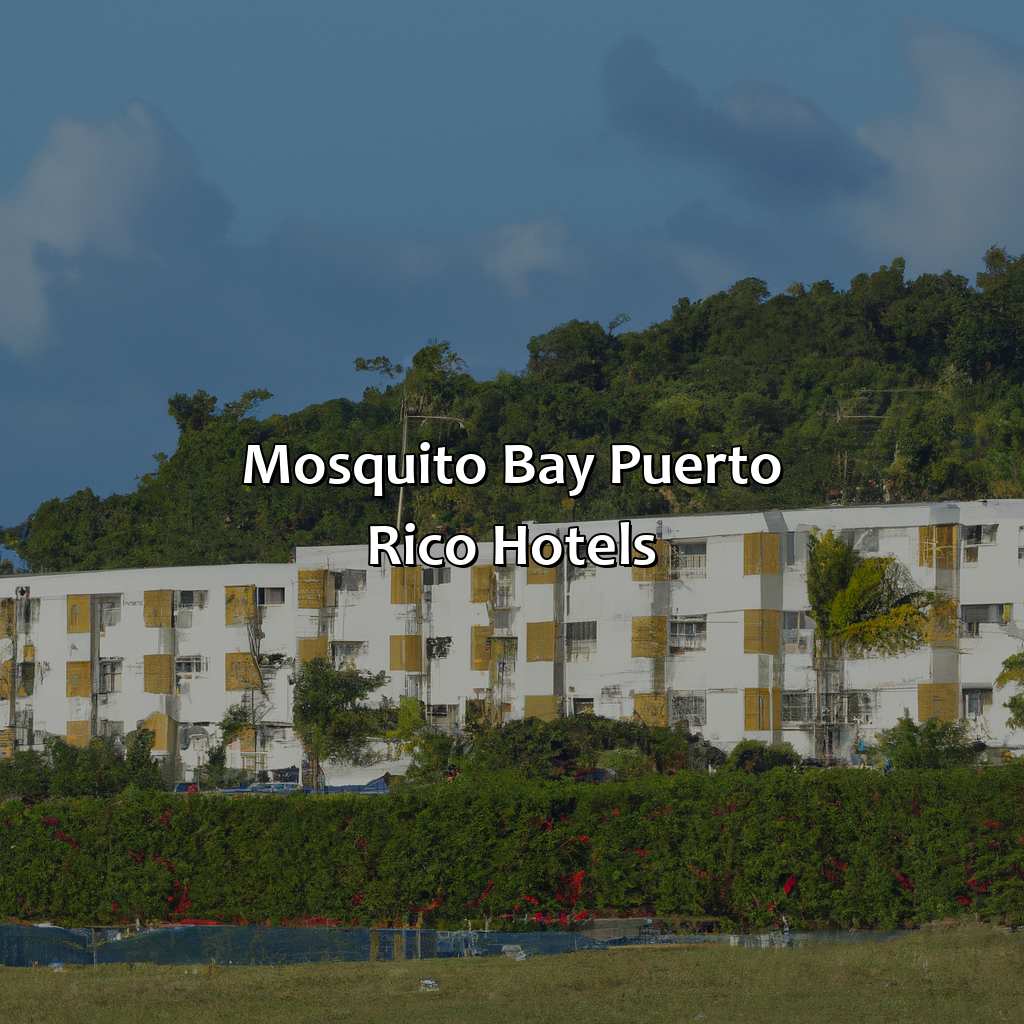 Mosquito Bay Puerto Rico Hotels