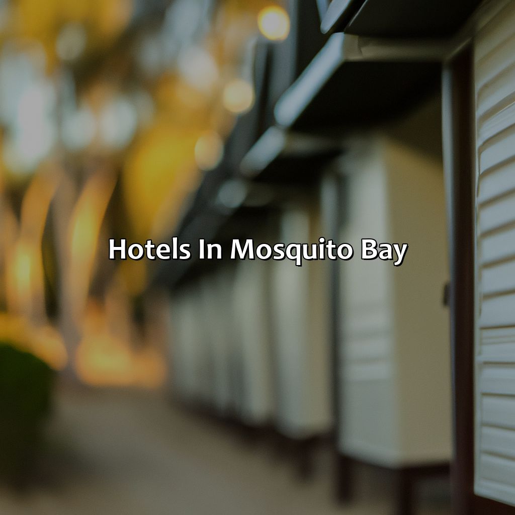 Hotels in Mosquito Bay-mosquito bay puerto rico hotels, 
