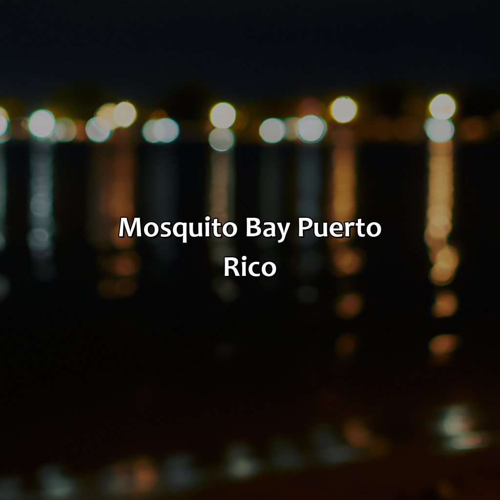 Mosquito Bay, Puerto Rico-mosquito bay puerto rico hotels, 
