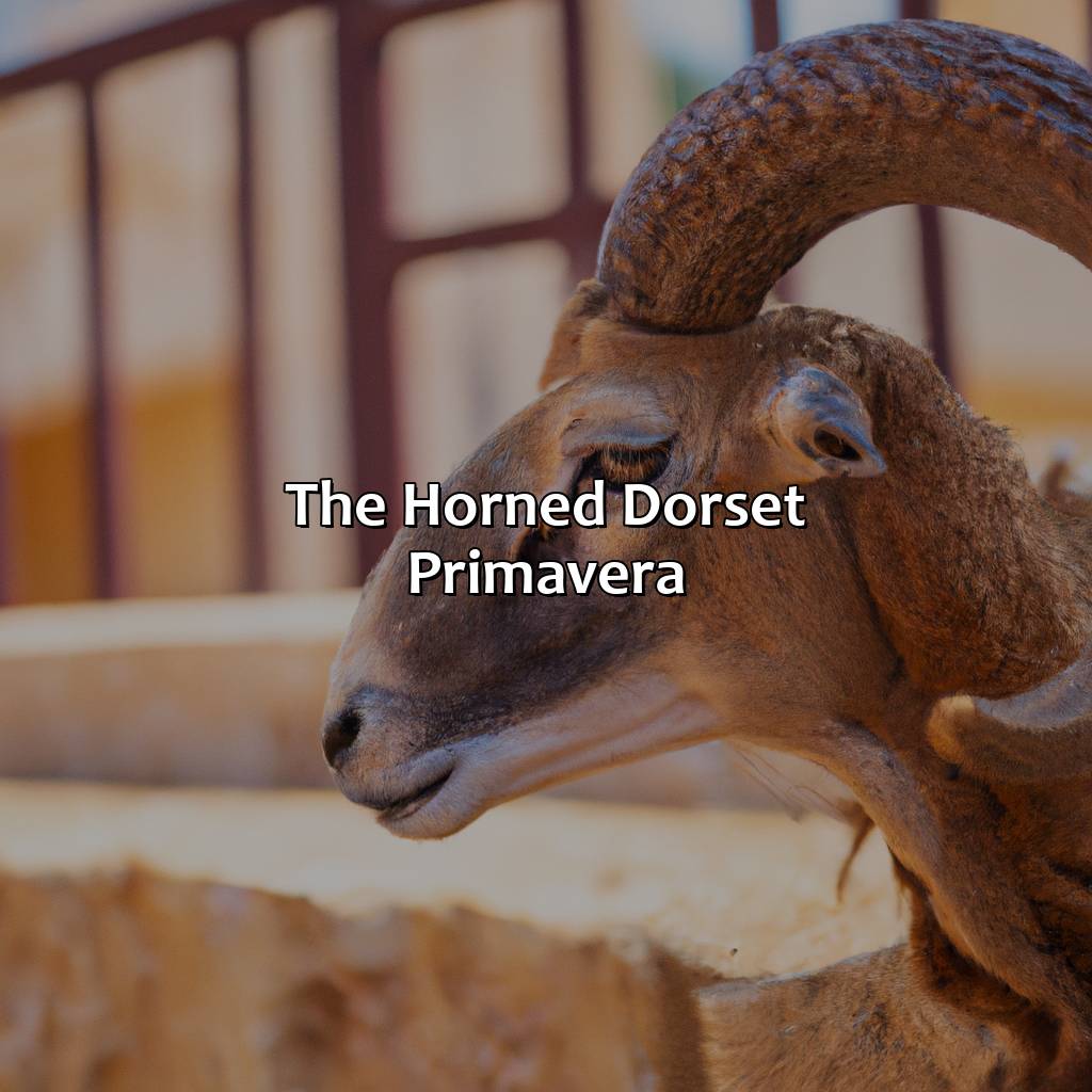 The Horned Dorset Primavera-most romantic hotels in puerto rico, 