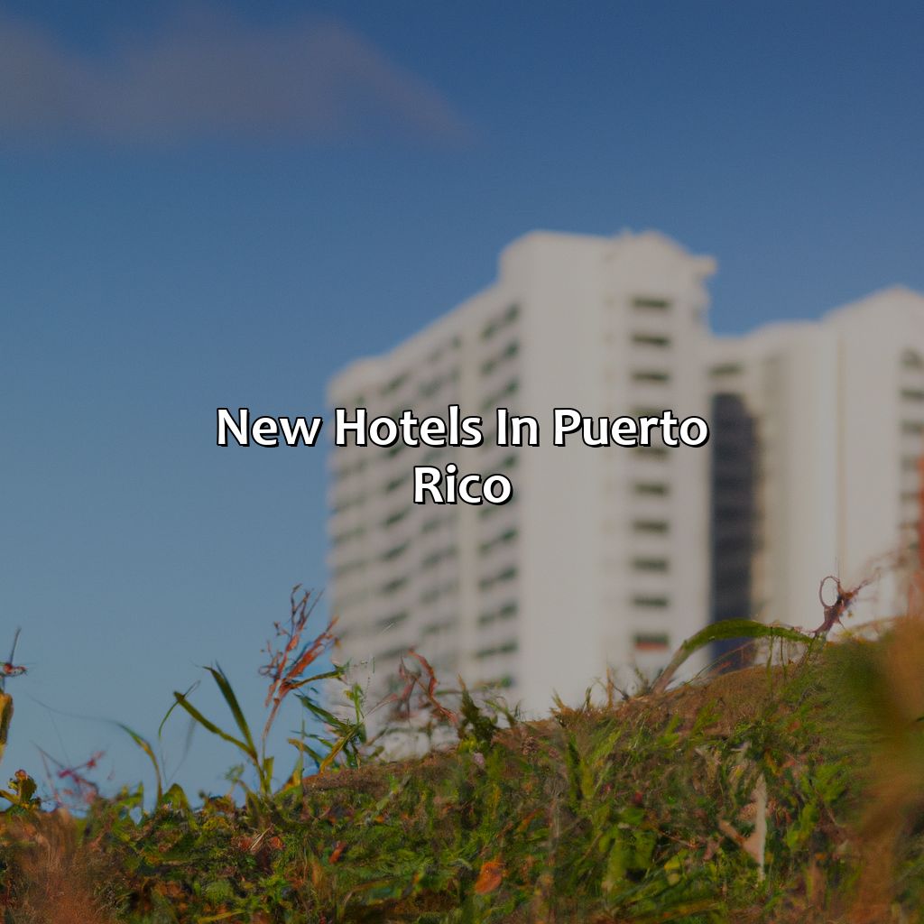 New hotels in Puerto Rico-new hotels in puerto rico, 