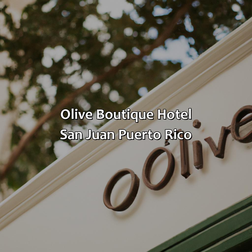 Olive Boutique Hotel San Juan Puerto Rico