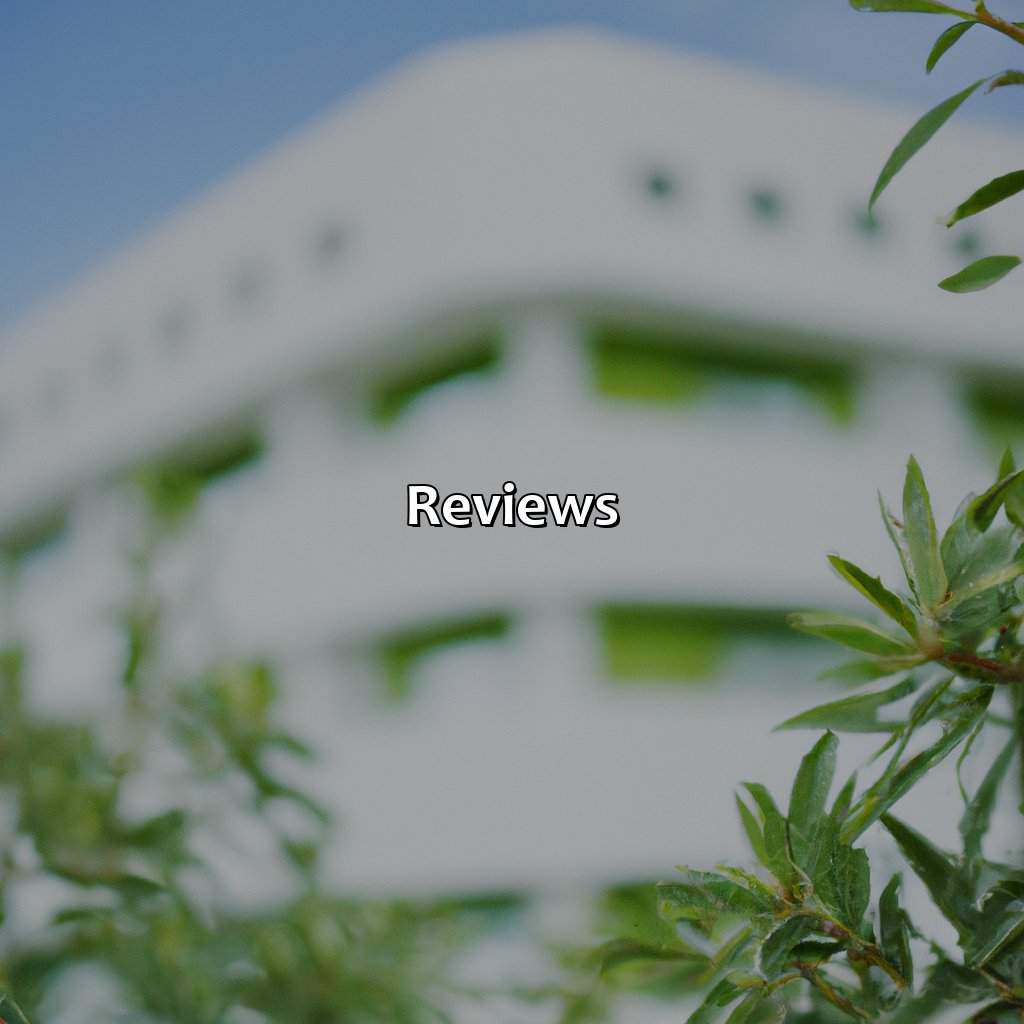 Reviews-olive hotel puerto rico, 