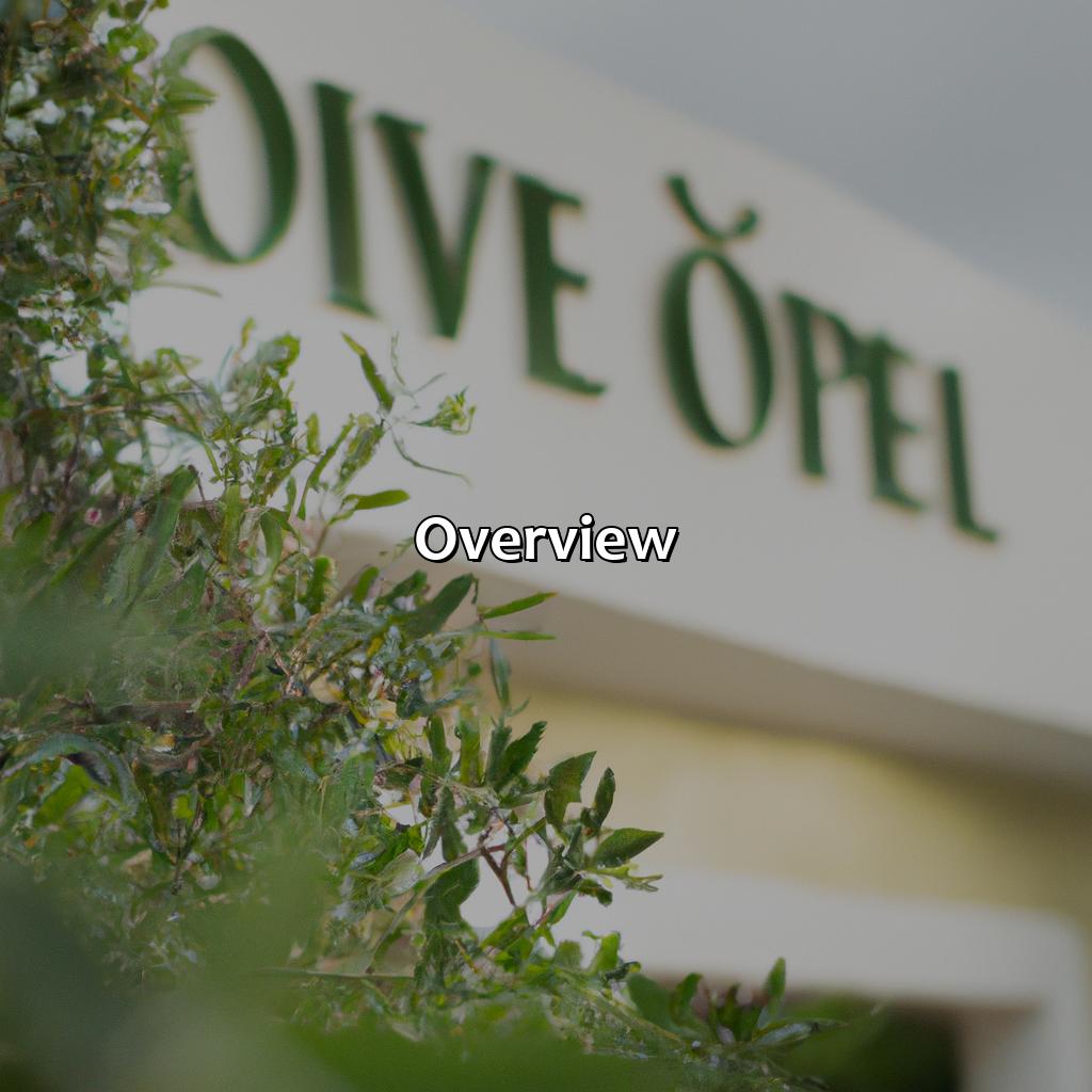 Overview-olive hotel puerto rico, 