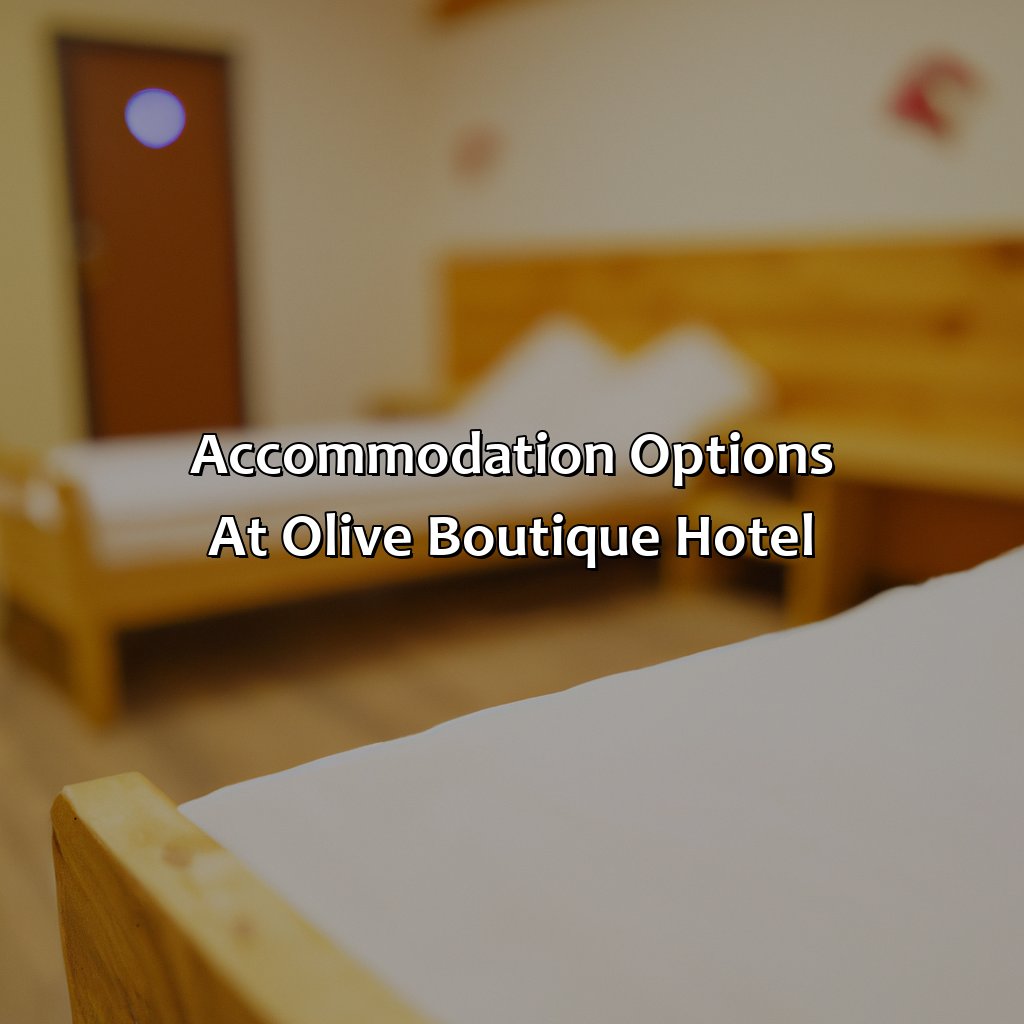 Accommodation Options at Olive Boutique Hotel-olive+boutique+hotel+san+juan+puerto+rico, 