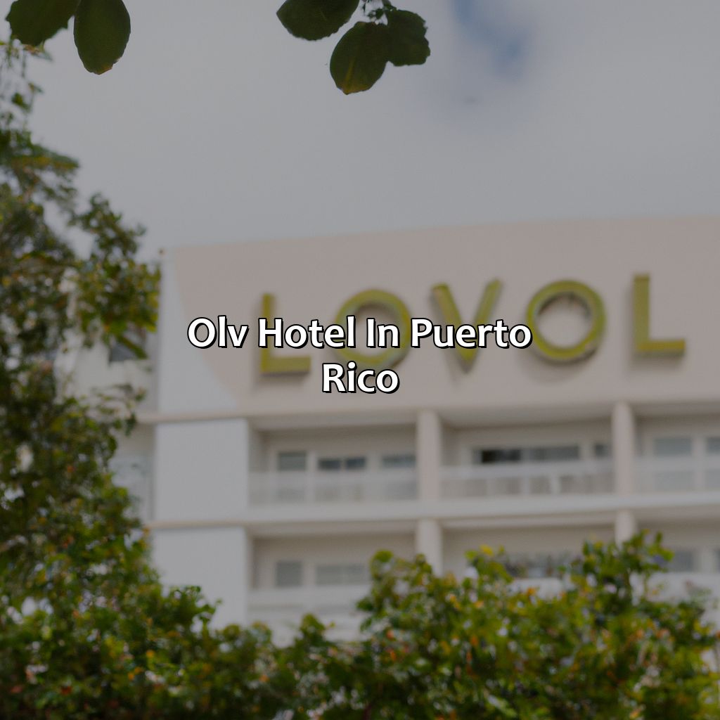 Olv Hotel In Puerto Rico