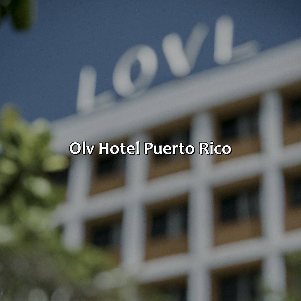 Olv Hotel Puerto Rico