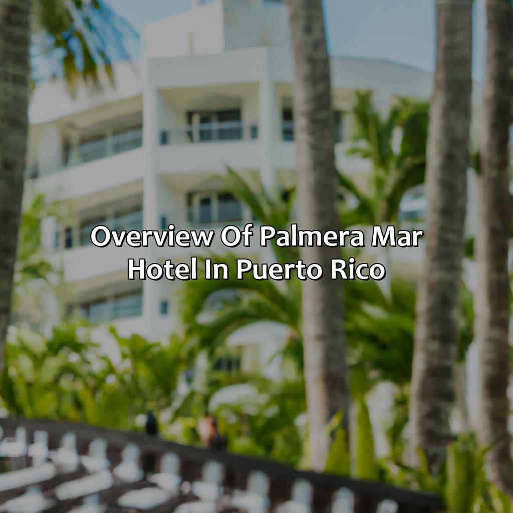 Overview of Palmera Mar Hotel in Puerto Rico-palmera mar hotel puerto rico, 