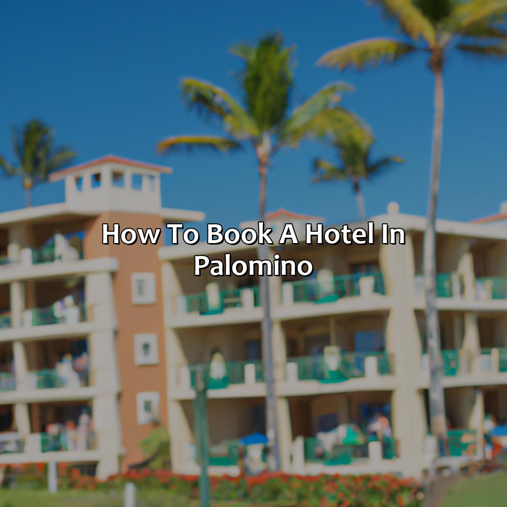 How to book a hotel in Palomino-palomino puerto rico hotels, 