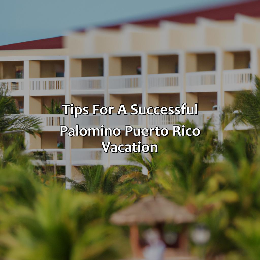 Tips for a successful Palomino Puerto Rico vacation-palomino puerto rico hotels, 