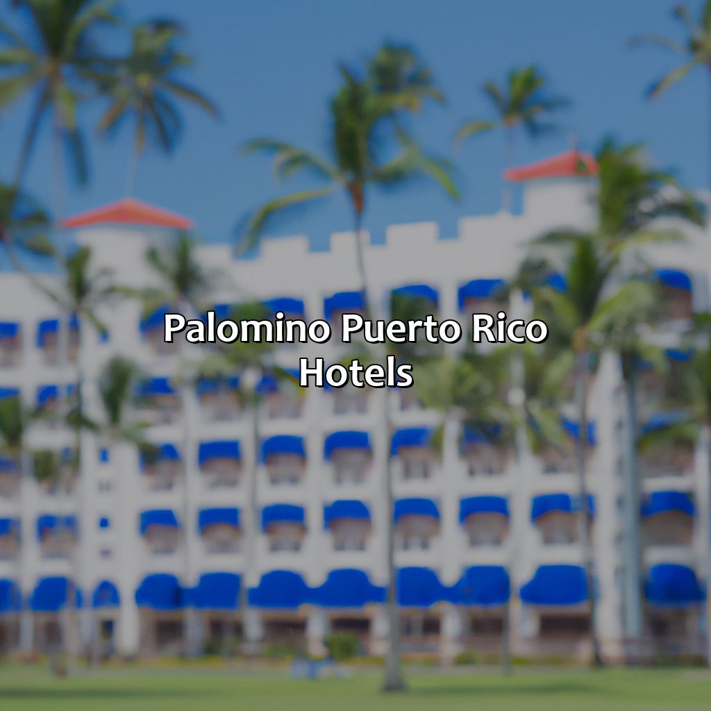 Palomino Puerto Rico Hotels