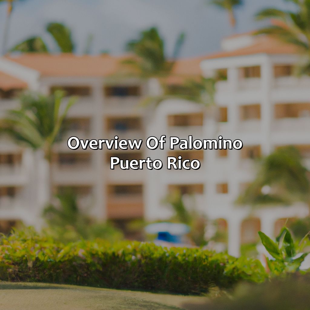 Overview of Palomino Puerto Rico-palomino puerto rico hotels, 