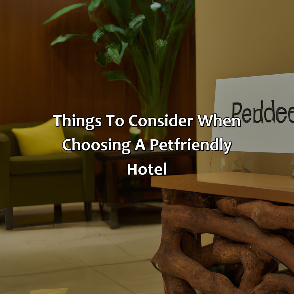 Things to Consider When Choosing a Pet-Friendly Hotel-pet friendly hotels in san juan puerto rico, 